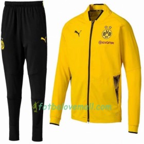 Borussia Dortmund Teplákové Soupravy Žlutá 2018-2019